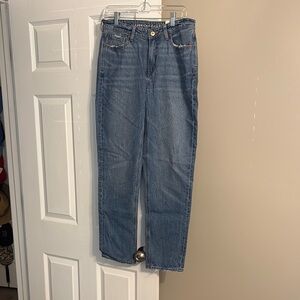 American Eagle Outfitters Blue Mom Jeans